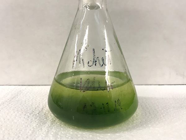 A glass laboratory vessel with green liquid (suspension)