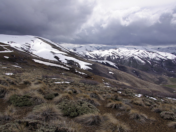A gentle slope covered with sparse, low vegetation. In the background a snowy and cloudy mountain landscape