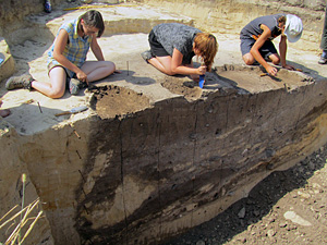 Forests of the loess regions of Małopolska: reconstruction based on archaeological wood charcoal