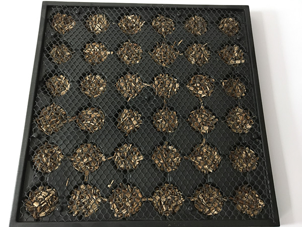 Square tray made of black plastic, with rows of recesses filled with shredded wood, covered with plastic mesh