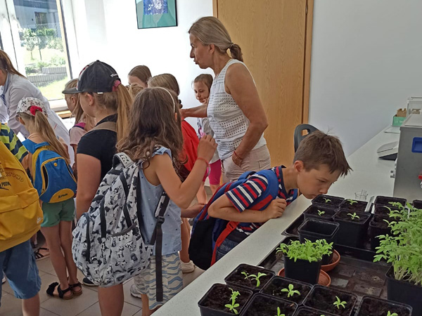 Children and a teacher stand in a laboratory. A boy in the foreground looks at plants in pots