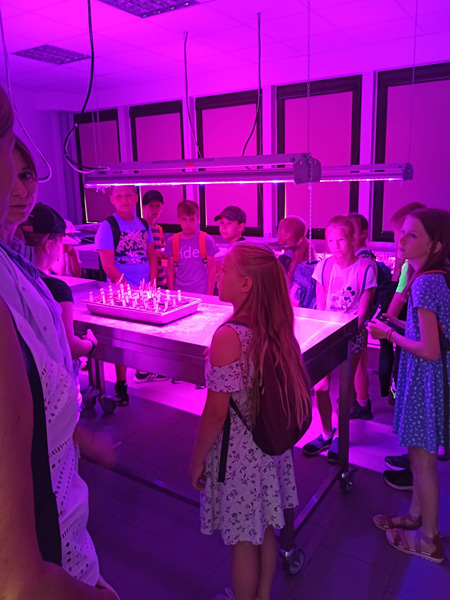 The children and their teacher stand in a purple-lit, windowless room. On the counter in front of them is a tray of plants