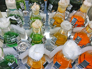 Symbiotic associations in the world of cyanobacteria – popular science article