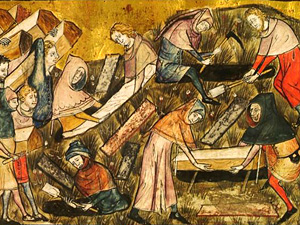 Palynology verifies the findings of historians on the impact of the Black Death on the demographics of medieval Europe!