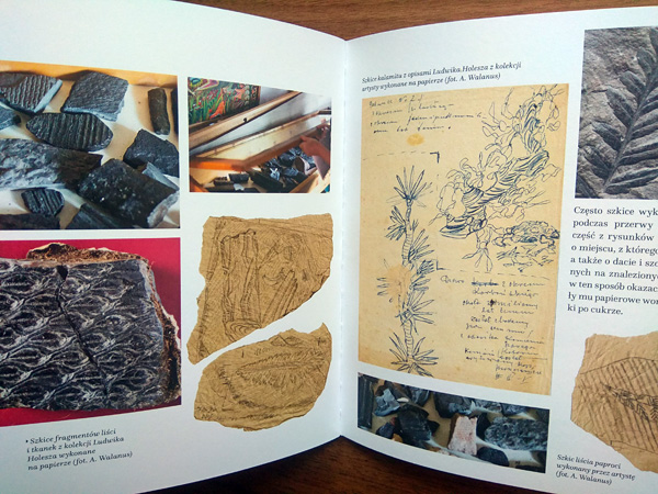 A book lying on a table, open to a page with photos of fossilized plant remains and scans of the artist's sketches