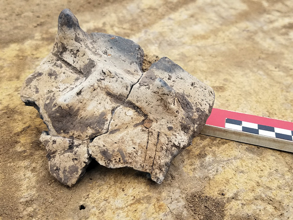 A light yellow fragment of a clay vessel with a crudely depicted horned face. A measuring cup lies next to it