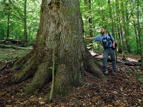 A man in a T-shirt leans against the base of a large tree. In the background, a dense, vivid green forest