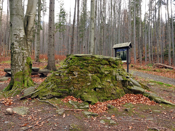 A model of the base of a huge tree trunk made of mossy stones. In the background is an information board and a beech forest