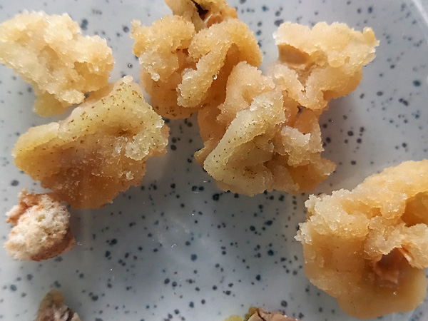 Lumps of light brown granular mass lying on a glass dish