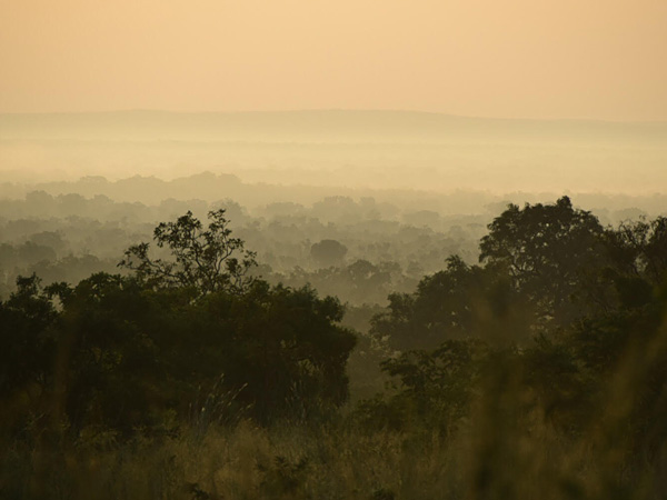 A misty savanna landscape with dark silhouettes of trees in the foreground and a barely visible highland in the distance