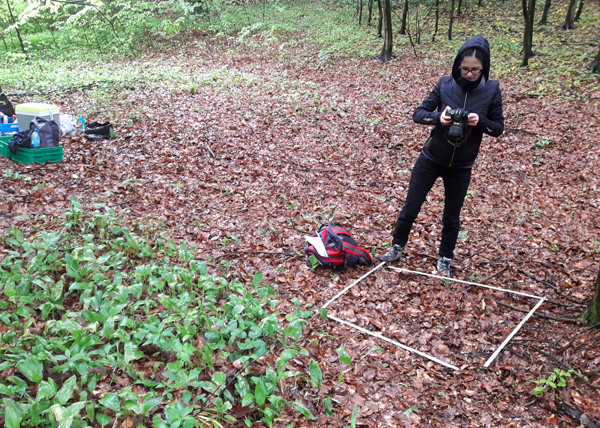 A woman in black tourist clothing stands over a white square frame and takes photos of the forest floor within it