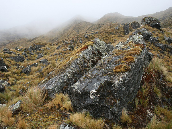 Slopes with an uneven surface covered with grass, with mossy rocks rising above. Peaks in the background hidden in mist