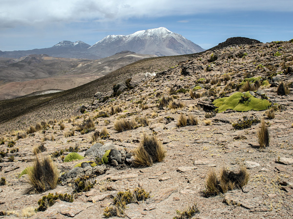 Gentle hills with almost no vegetation. In the distance a high mountain with a snow-capped peak
