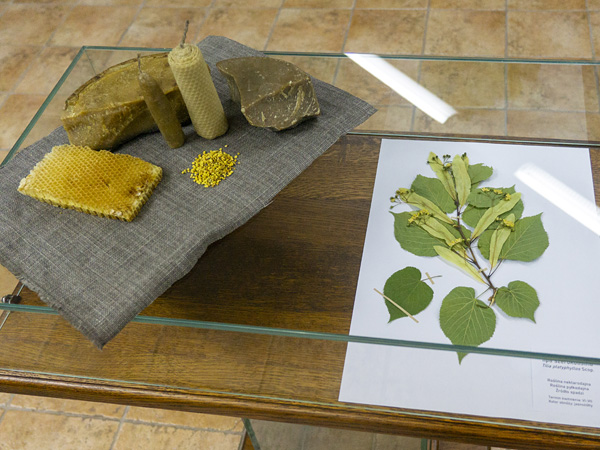 A glass display table with candles and other wax products lying on it. Under the glass, a sheet of paper with a linden branch