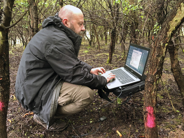 A man crouches under low-hanging branches, typing on his laptop. Some of the tree trunks are marked with pink paint