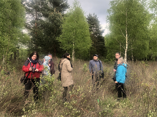 A group of people stands among waist-high bushes. In the background are young birch and pine trees