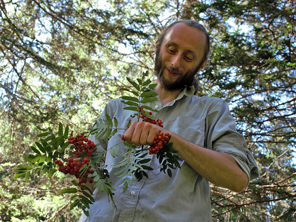 A bearded man holds rowan twigs with fruit. Above him are the sunlit treetops