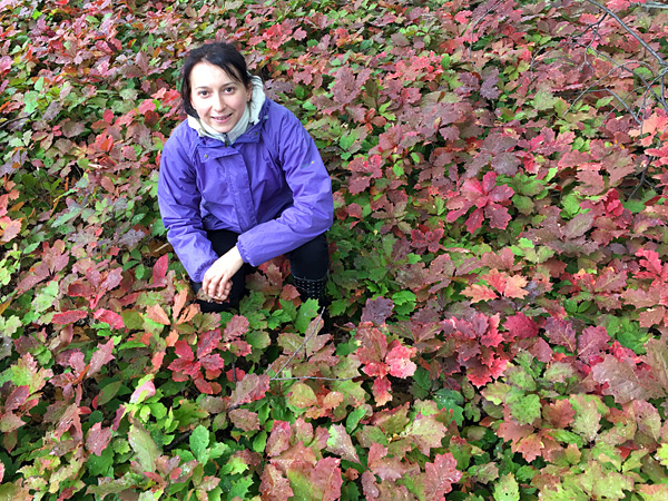 A woman in a purple jacket crouches in front of a field of oak seedlings with leaves in various shades of red and green