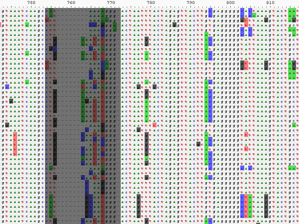 Digital white image with rows and columns of coloured characters. Some are marked with a colored background