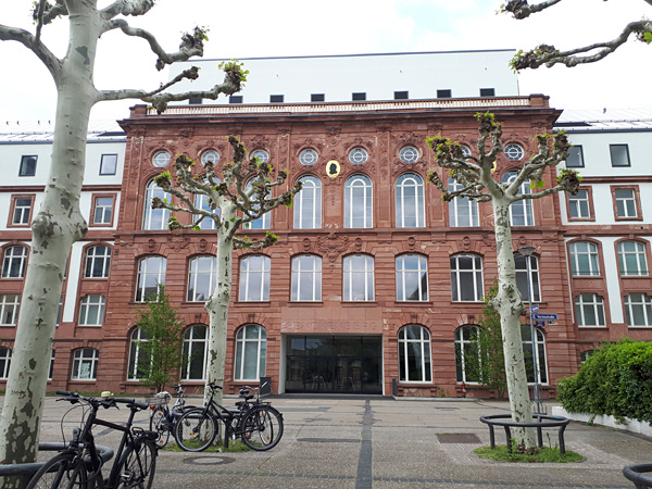 A tall, brick building with trimmed trees in front of the entrance, and with bicycles leaning against the tree trunks