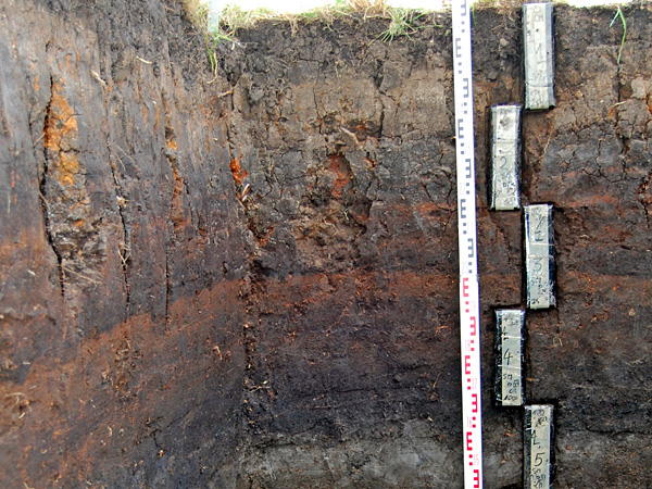 Soil profile with alternating layers in shades of brown, rust and grey. On the left side, a vertical meter photo scale