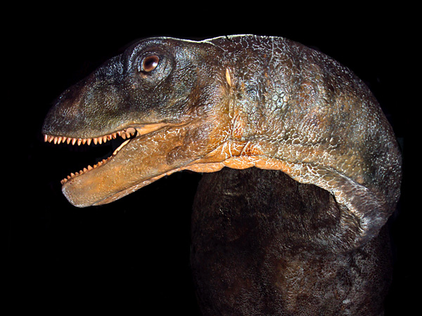 A model of a brown dinosaur emerges from the shadows. It twists its neck strongly to the side and bares its short teeth