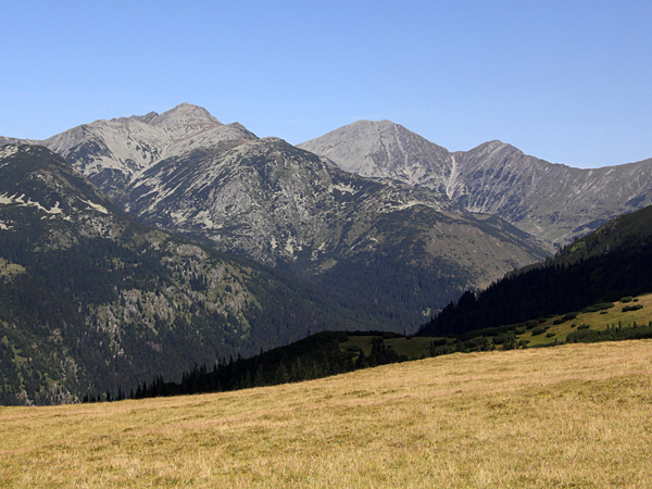 A view from a gentle, yellow-grassed slope of high, rocky mountains with dark patches of forest on the steep slopes