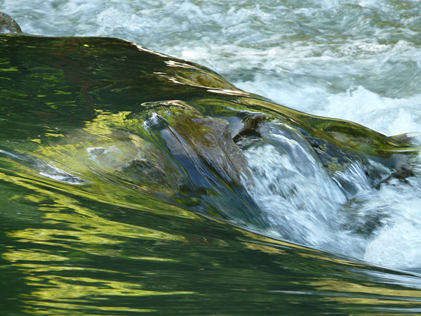 Water pouring over a rocky threshold. Above the threshold, it is green from aquatic plants, at the bottom it is foamy